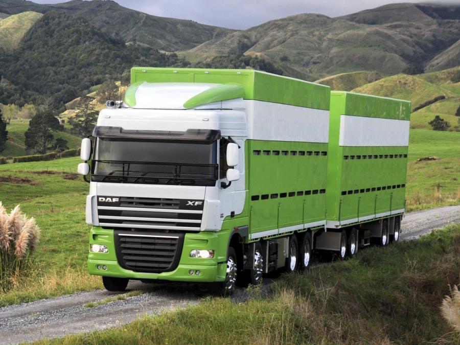  DAF XF105 8x4 FAD Space Cab 2006 года  (AU) (фото 1 из 1)